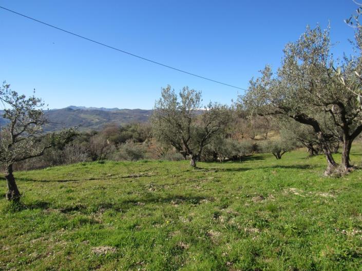 Image No.2-3 Bed Townhouse for sale