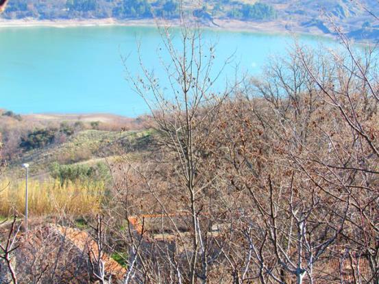 Image No.5-2 Bed Country House for sale