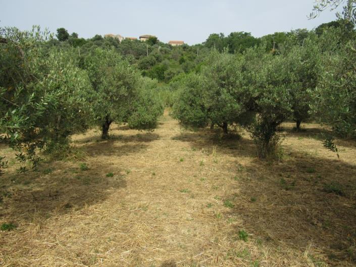 Image No.15-2 Bed Townhouse for sale