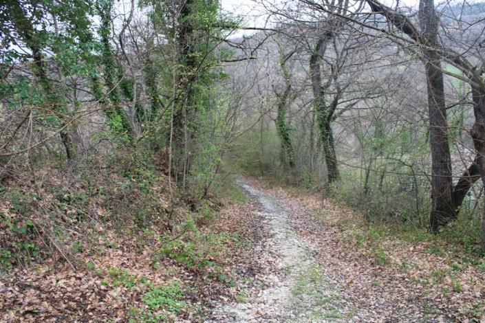 Image No.21-10 Bed Farmhouse for sale