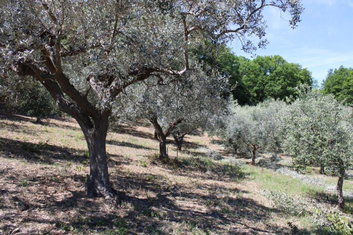 Image No.4-2 Bed Country House for sale