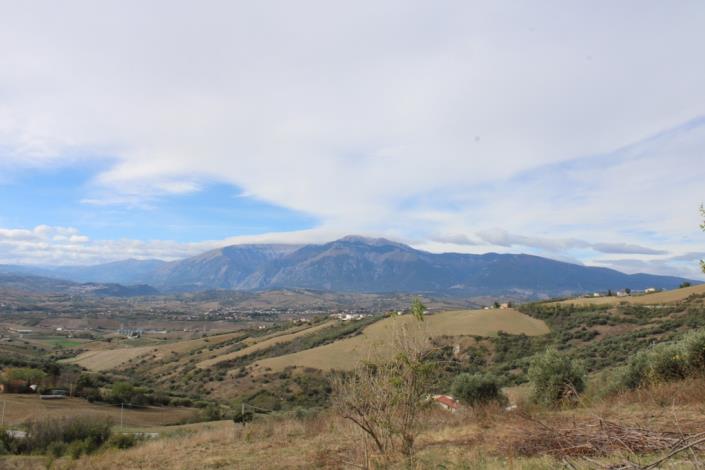 Image No.4-2 Bed Country House for sale