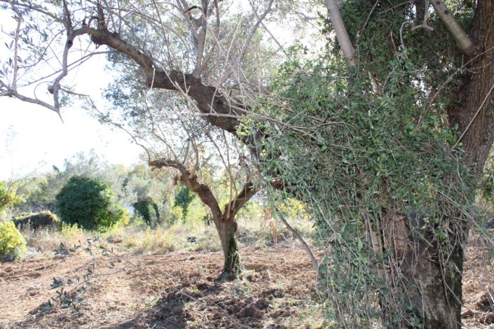 Image No.16-3 Bed Country Property for sale