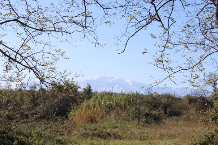 Image No.4-3 Bed Country House for sale