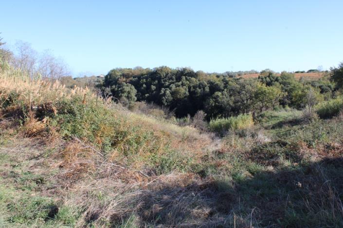 Image No.38-3 Bed Country House for sale