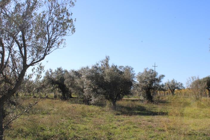 Image No.41-3 Bed Country House for sale