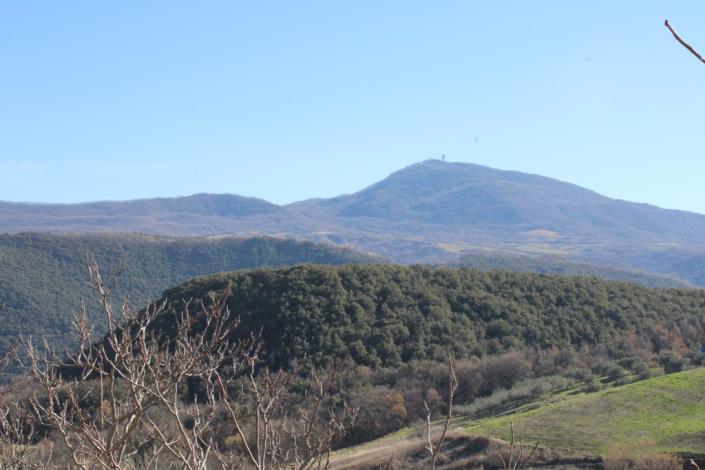 Image No.5-4 Bed Country House for sale