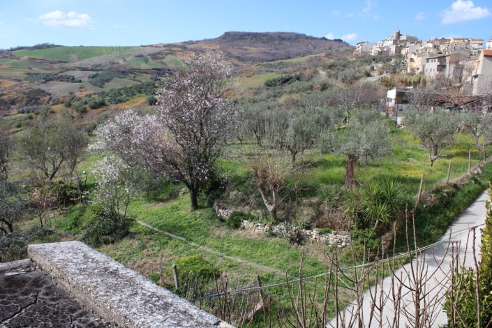 Image No.2-3 Bed House for sale