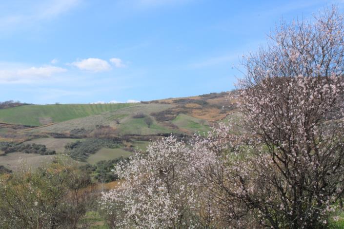 Image No.6-3 Bed House for sale