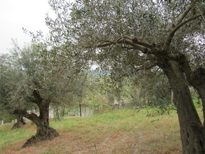 Image No.3-3 Bed Country House for sale