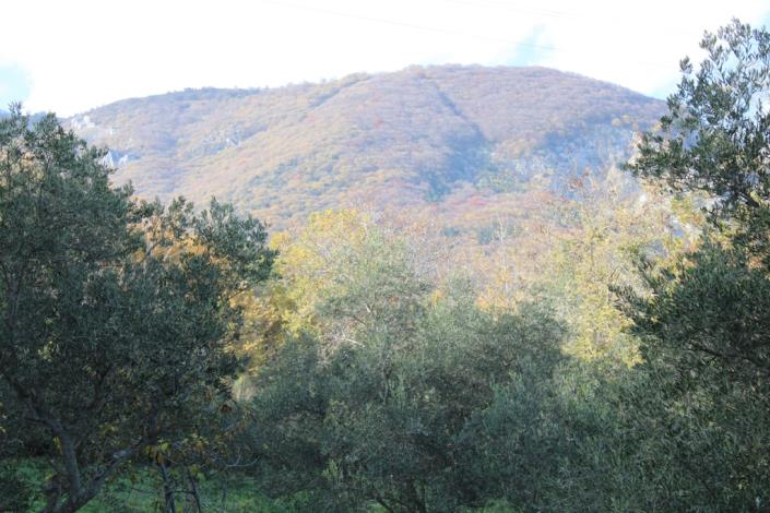 Image No.3-2 Bed Plot for sale