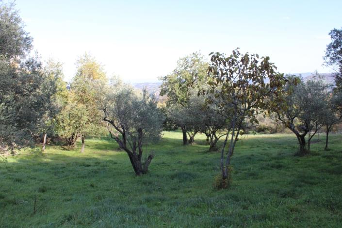 Image No.5-2 Bed Plot for sale