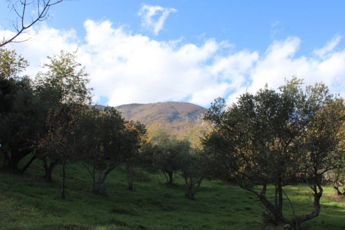 Image No.6-2 Bed Plot for sale