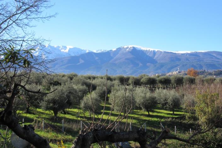 Image No.3-2 Bed Country House for sale