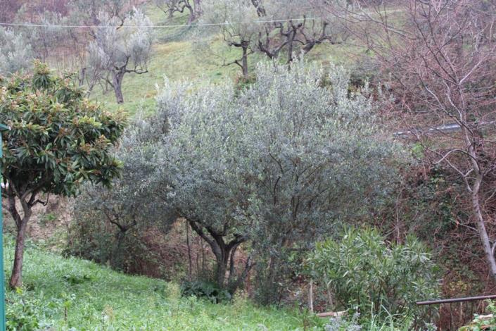 Image No.11-3 Bed Apartment for sale