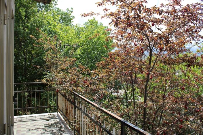 Image No.9-6 Bed Country House for sale