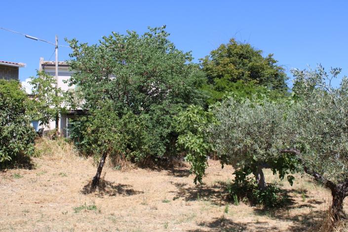 Image No.14-3 Bed Country House for sale