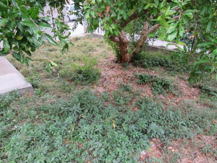 Image No.4-2 Bed Townhouse for sale