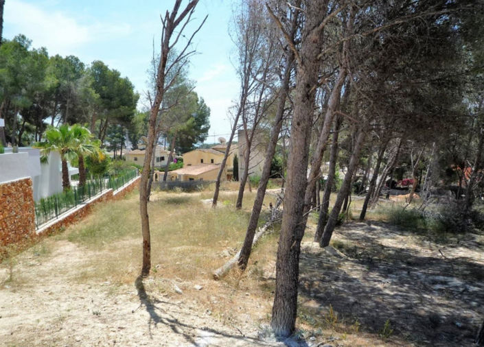 Image No.1-Plot for sale