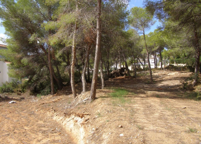 Image No.2-Plot for sale