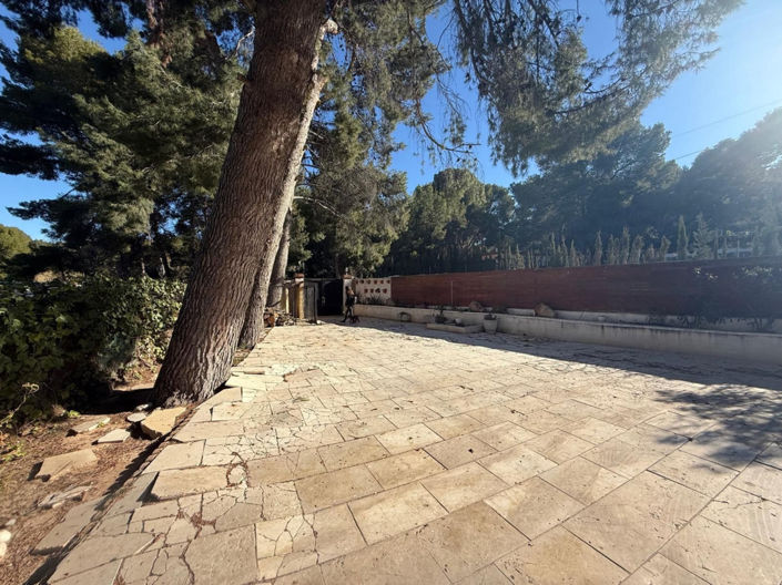 Image No.31-3 Bed Villa for sale