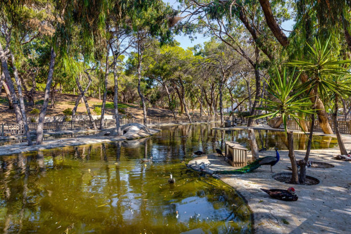 Image No.2-4 Bed Apartment for sale