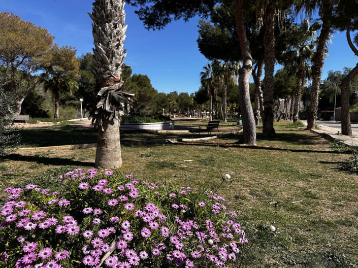 Image No.23-3 Bed Villa for sale