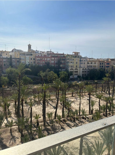 Image No.16-Appartement de 2 chambres à vendre à Elche