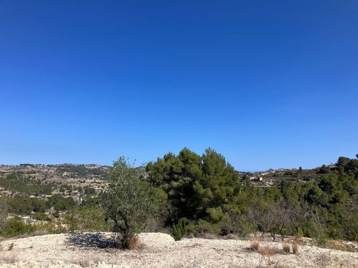 Image No.1-Plot for sale