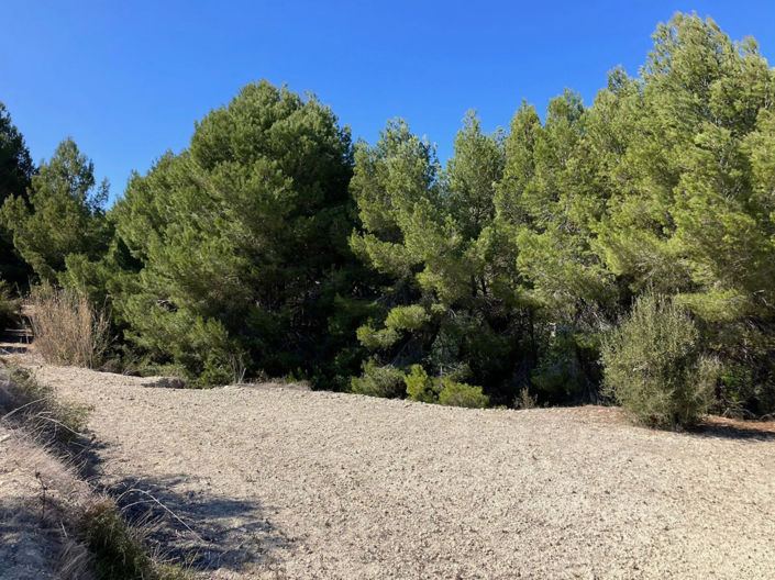 Image No.12-Plot for sale