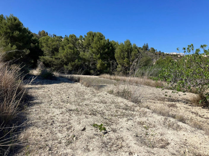 Image No.13-Plot for sale