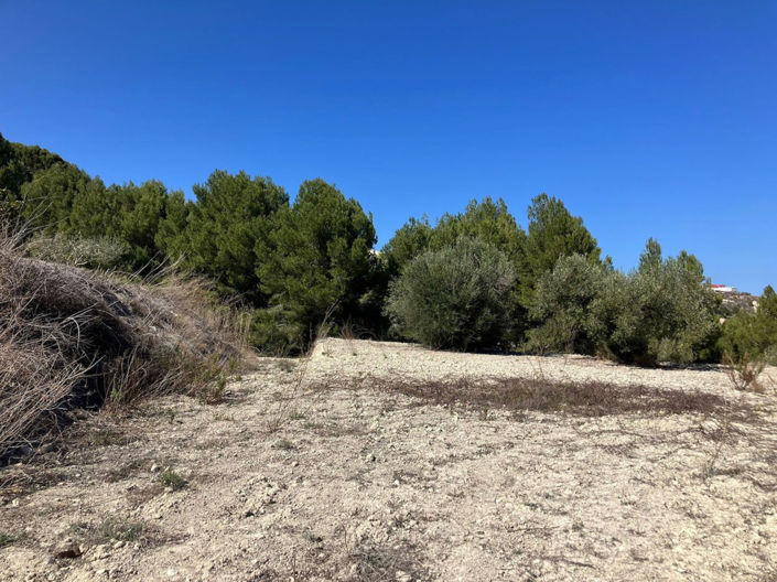 Image No.5-Plot for sale