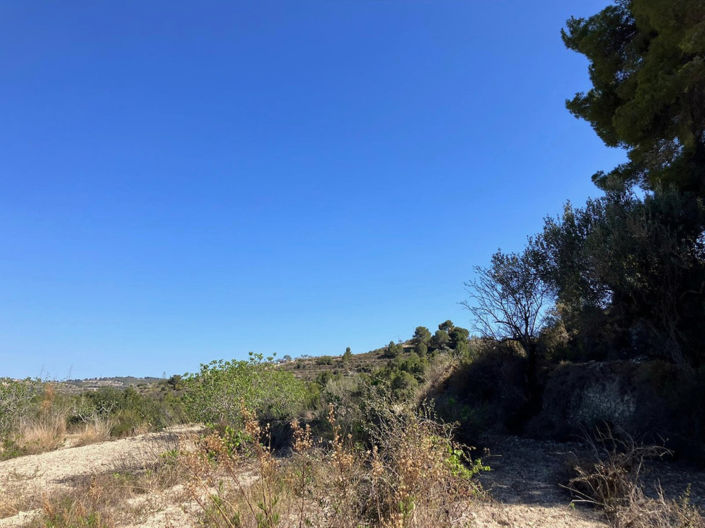 Image No.7-Plot for sale