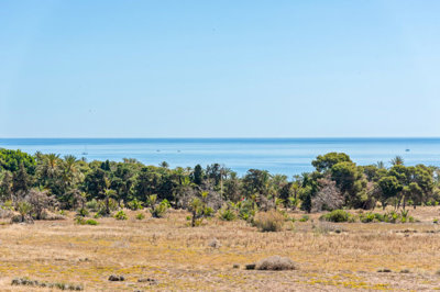 51c786c5218c4dd78049xlarge