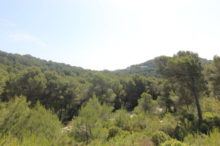 Image No.1-Plot for sale