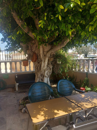 Image No.33-3 Bed Villa for sale