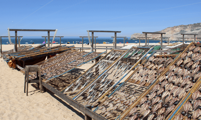 Image No.23-1 Bed Apartment for sale