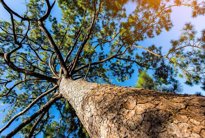 Image No.14-3 Bed Villa for sale