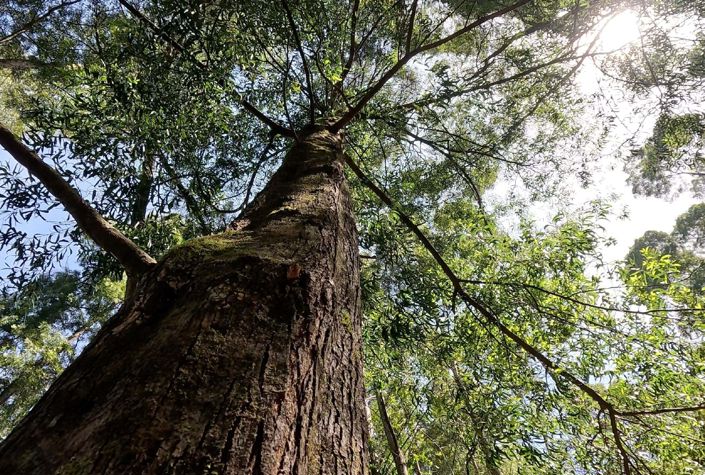 Image No.9-3 Bed Apartment for sale