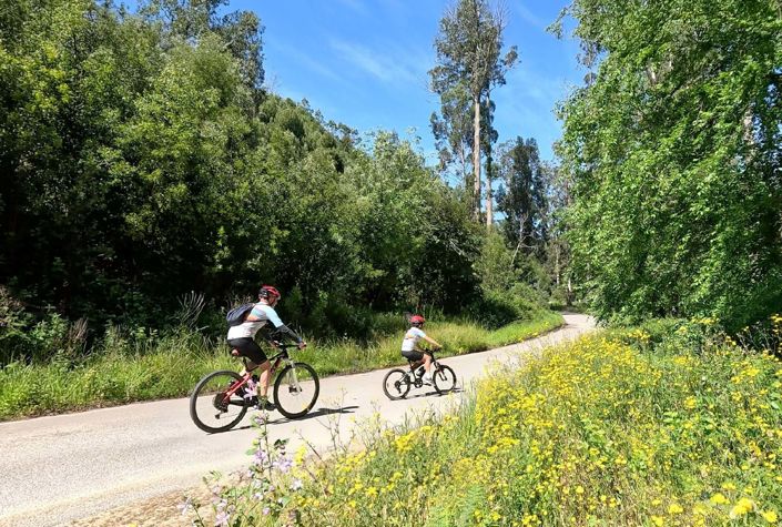 Image No.14-3 Bed Apartment for sale