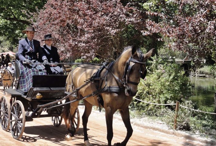 Image No.17-3 Bed Villa for sale