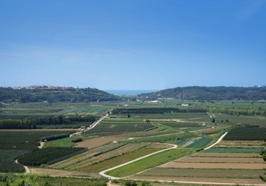 95-646464-78d1f4f8b6655591b02d22fabb36a692d73