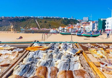 95-646464-78d1f4f8b6655591b02d22fabb36a692d73