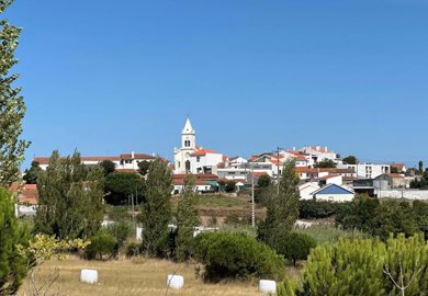 95-646466-78d1f4f8b6655591b02d22fabb36a692d73