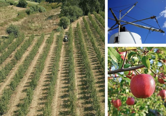 Image No.13-3 Bed Villa for sale