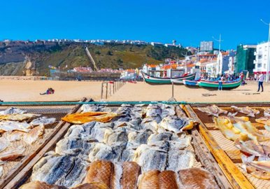 95-646466-78d1f4f8b6655591b02d22fabb36a692d73