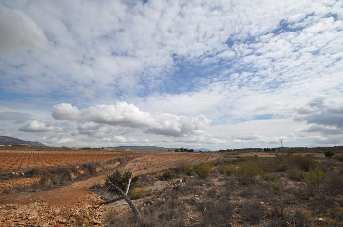 Image No.1-Land for sale