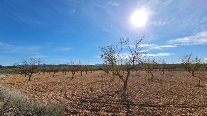 Image No.1-Land for sale