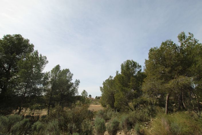 Image No.10-1 Bed Country House for sale