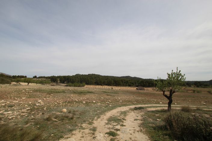 Image No.22-1 Bed Country House for sale